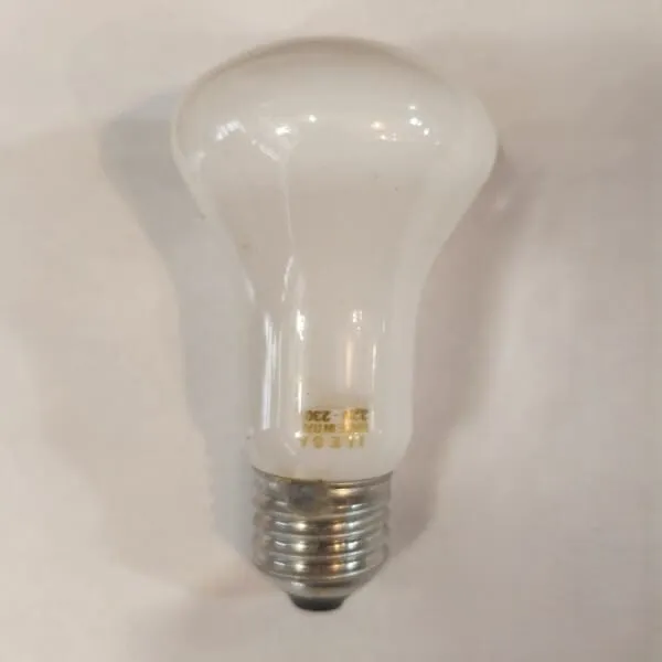 Λάμπα πυρακτώσεως 100W με ντουί E27